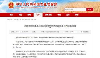 最新爆料湖南新闻,最新爆料揭示惊人内幕！  第1张